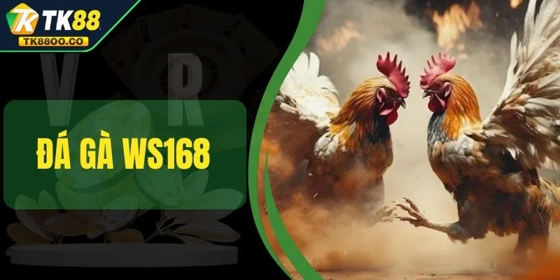 Đá Gà WS168 - Trực Tiếp Nghẹt Thở Và Thắng Cực Khủng 2025